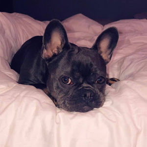 Meet your Posher, Wilson